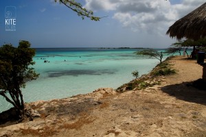 ArubaTour28       