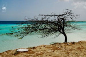ArubaTour29       