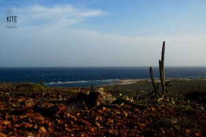 ArubaTour34       