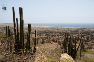 ArubaTour9           