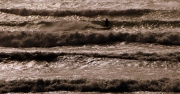 Dakhla wave